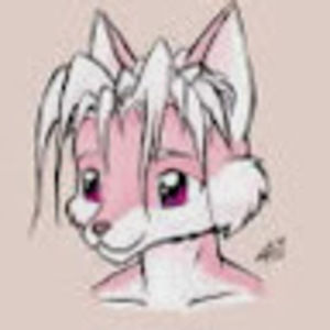 Meet your Posher, Lyn